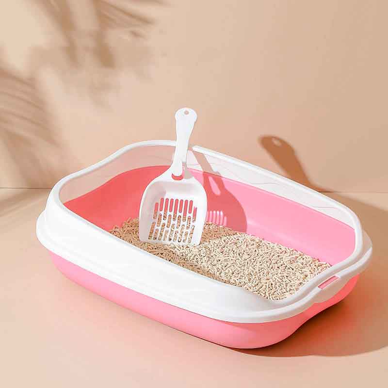 caja Arena Gatos bierta 7 19