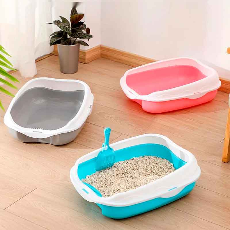 caja Arena Gatos bierta 7 20