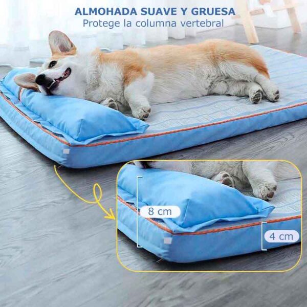 cama colchon verano 7 7 1