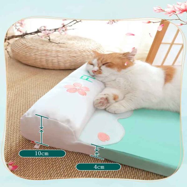 cama gato perro Verano Colchon 4