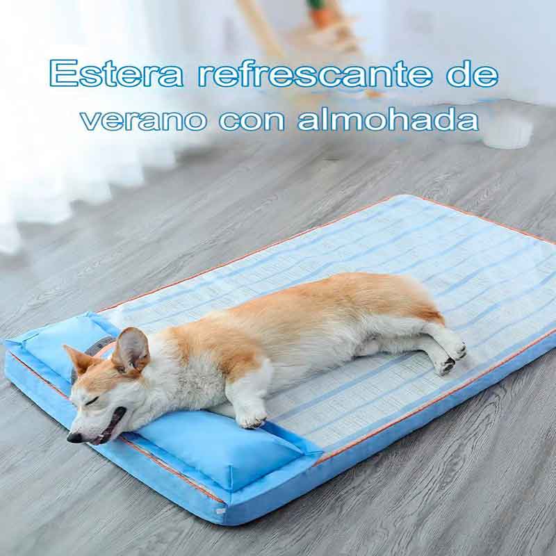 colchón-verano-almohada-oxford--7-7 colchon verano almohada oxford 7 7