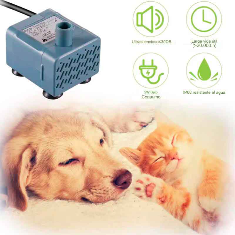 fuente-agua-plato-celeste7-1 fuente agua plato celeste7 1