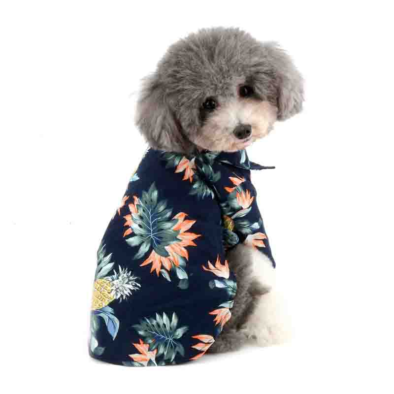 guayabera-perro-azul-2 guayabera perro azul 2