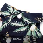 guayabera perro azul palmera 7 6