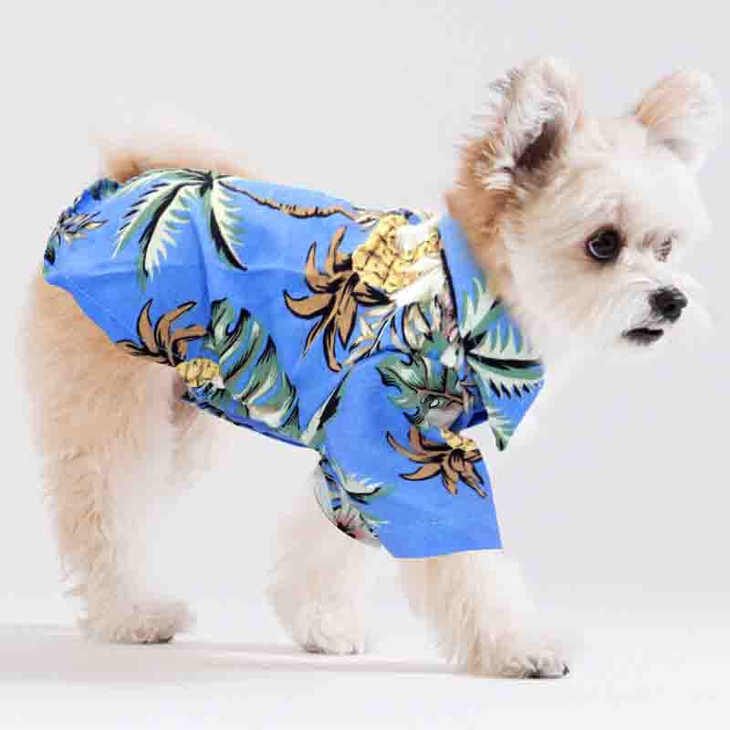 guayabera perro celeste 1