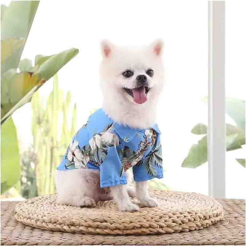guayabera perro celeste 3