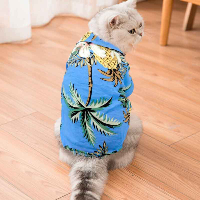 guayabera perro celeste 7 2