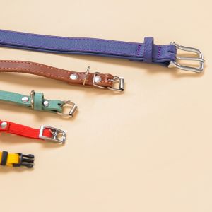 Collar para Perros