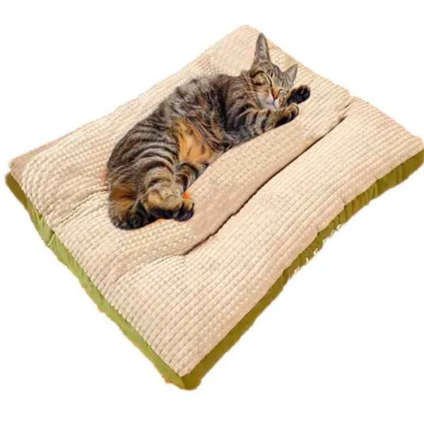 Cama gato Colchon