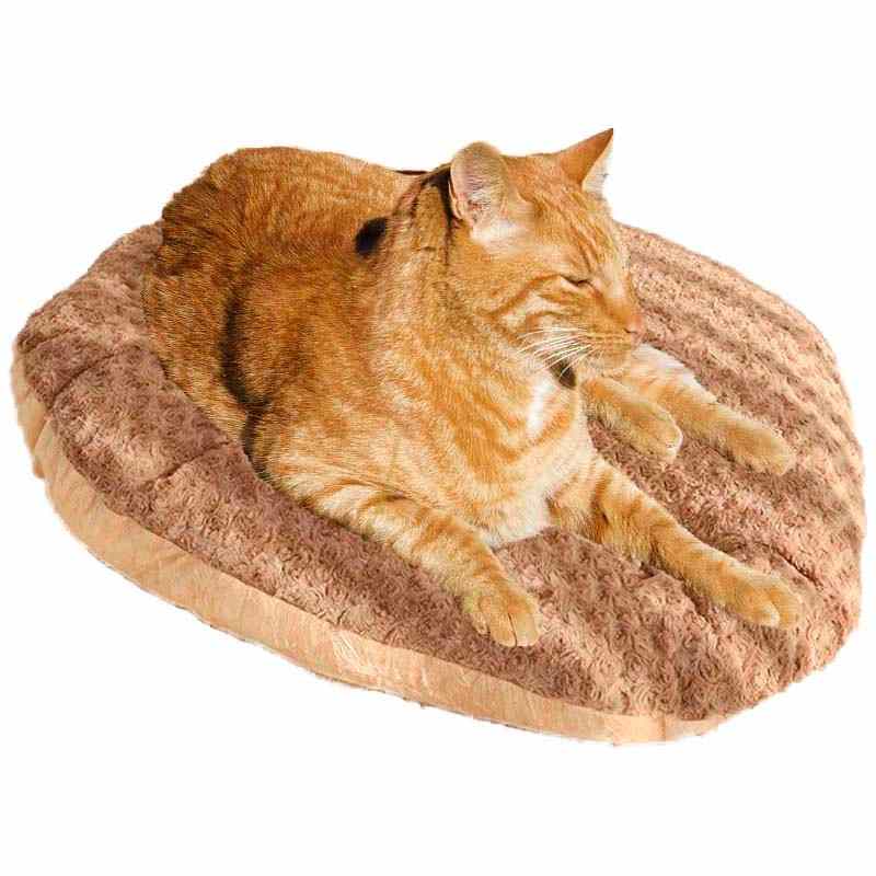 cojin cafe gato rubio