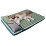 colchon verde cabecera gato