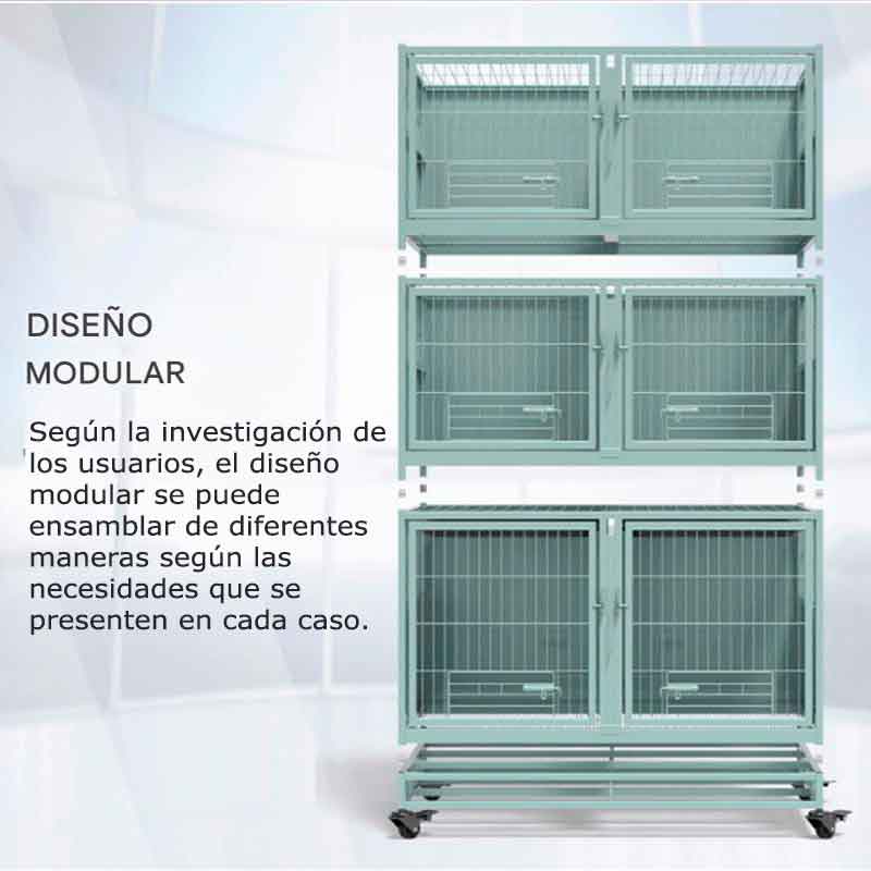 alternativas cani 3x6 1 10