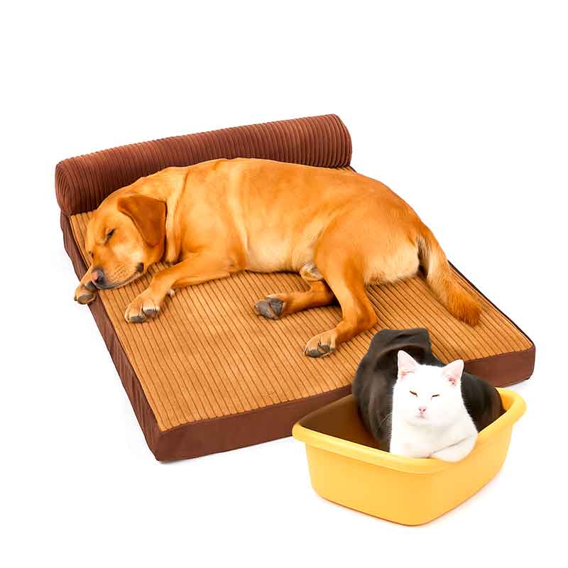 cama-ortopédica-perro Cama Ortopédica Perro Grande