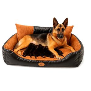 Cama para Perros Grandes Cuerina XXL