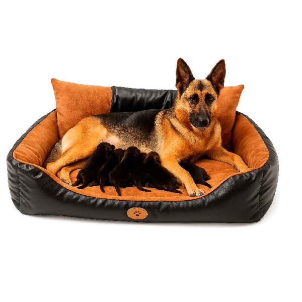 Cama para Perros Grandes Cuerina XXL