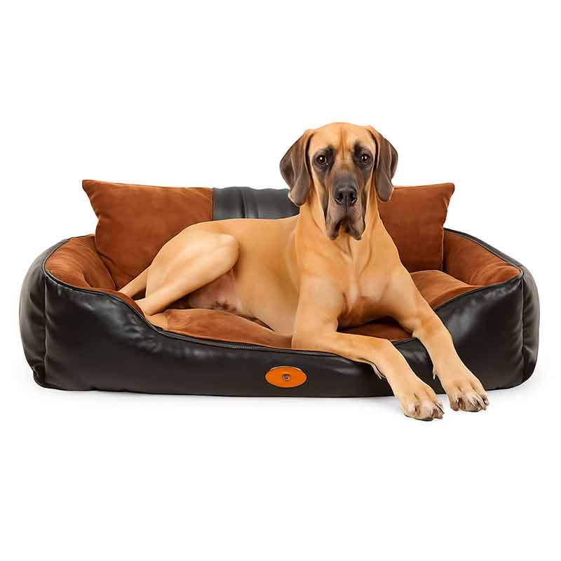 cama-para-perros-grandes-cuerina-xxl-6 cama para perros grandes cuerina xxl 6