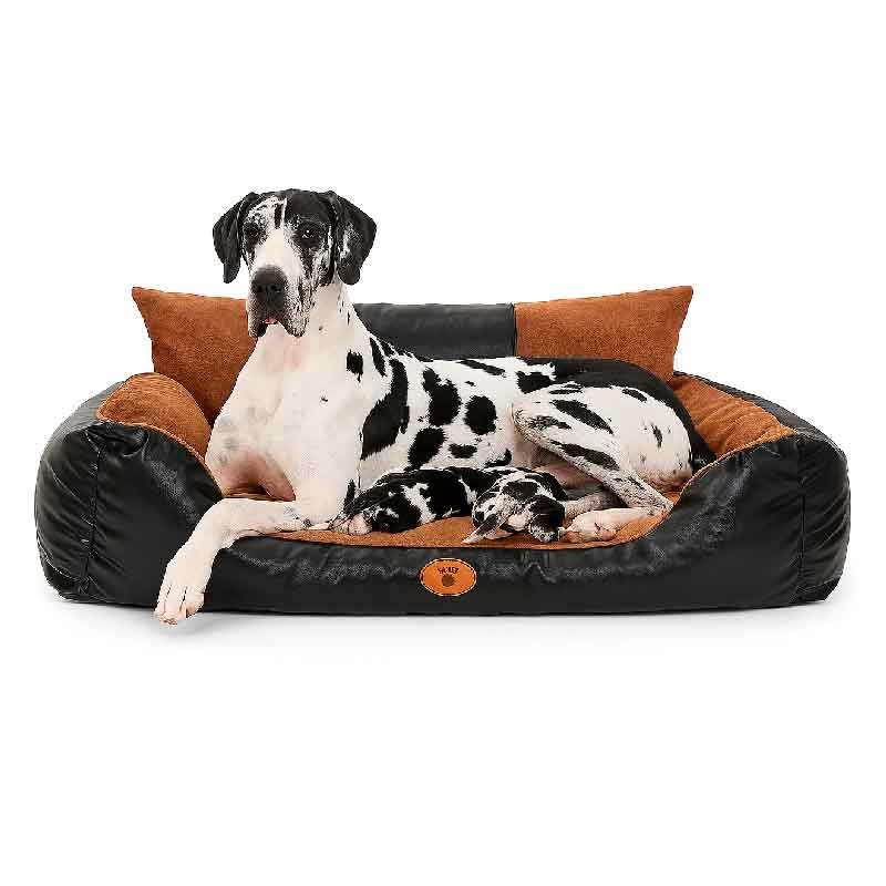 cama-para-perros-grandes-cuerina-xxl-7 cama para perros grandes cuerina xxl 7