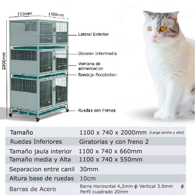 canil especificaciones