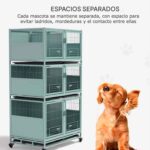 canil veterinario 1 10