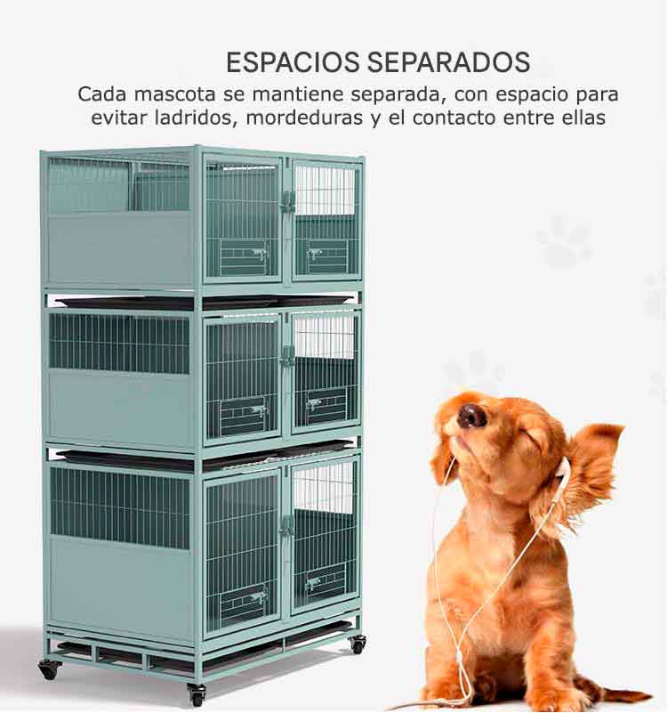canil veterinario 1 10