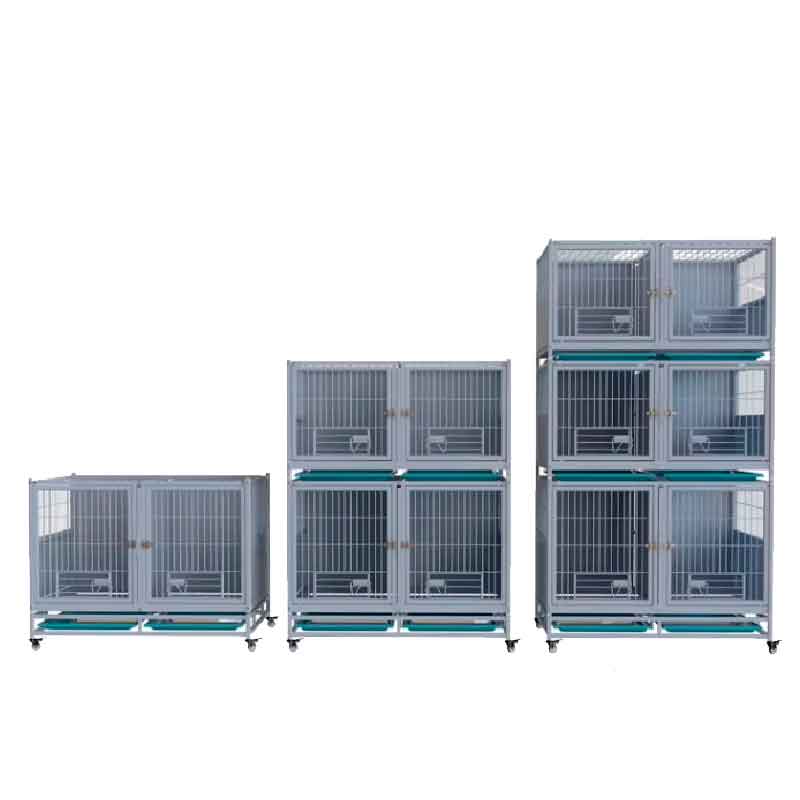 canil veterinario 3x6 6