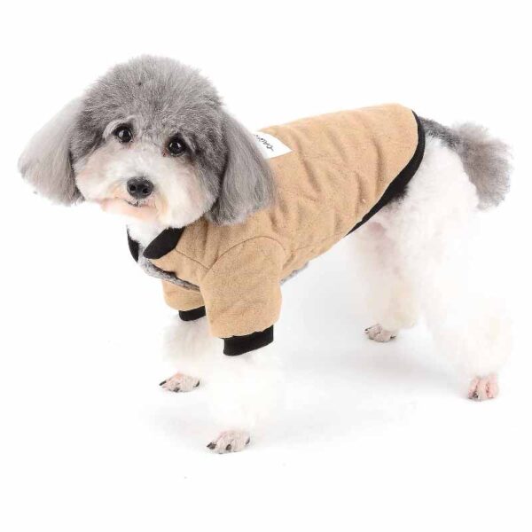 dadagou chaqueta 3