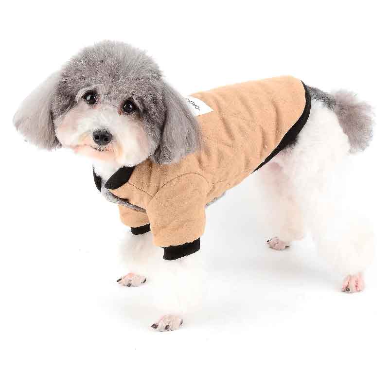 dadagou-chaqueta-4 dadagou chaqueta 4