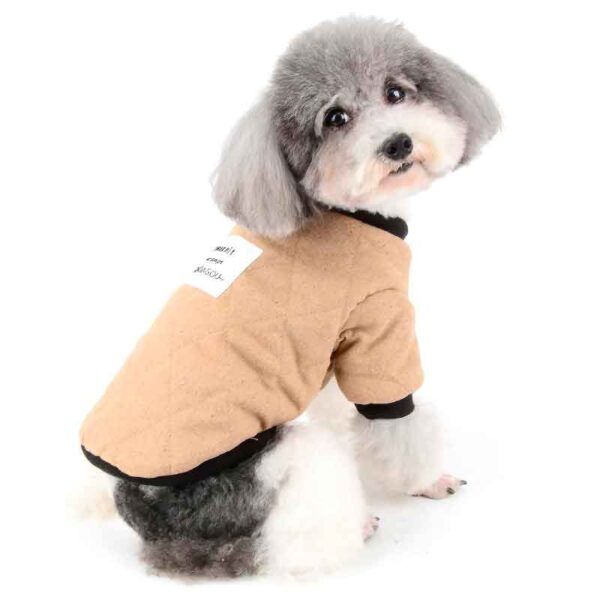 dadagou chaqueta 5