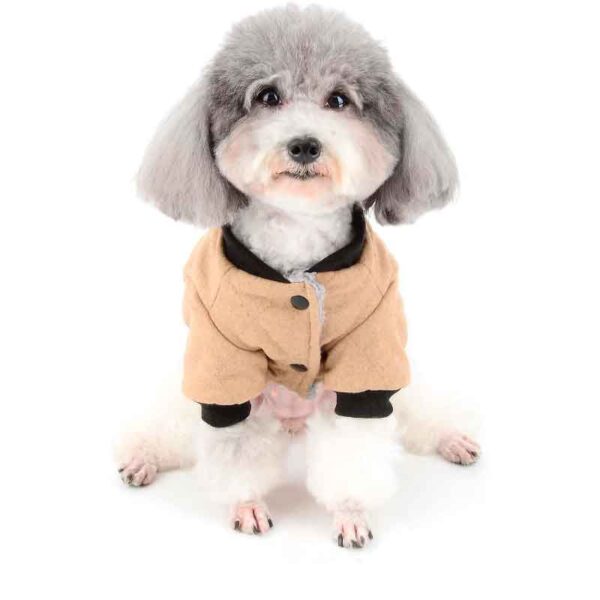 dadagou chaqueta 6