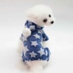 enterito para perro diseno estrellitas azul