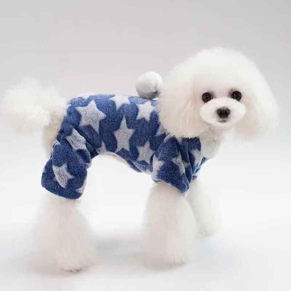 enterito para perro diseno estrellitas azul 2
